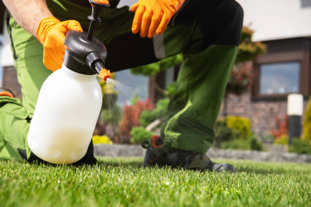 Pest Control Cost in Cross Lanes, WV