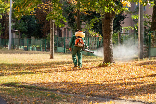 Pest Control for Restaurants in Cross Lanes, WV